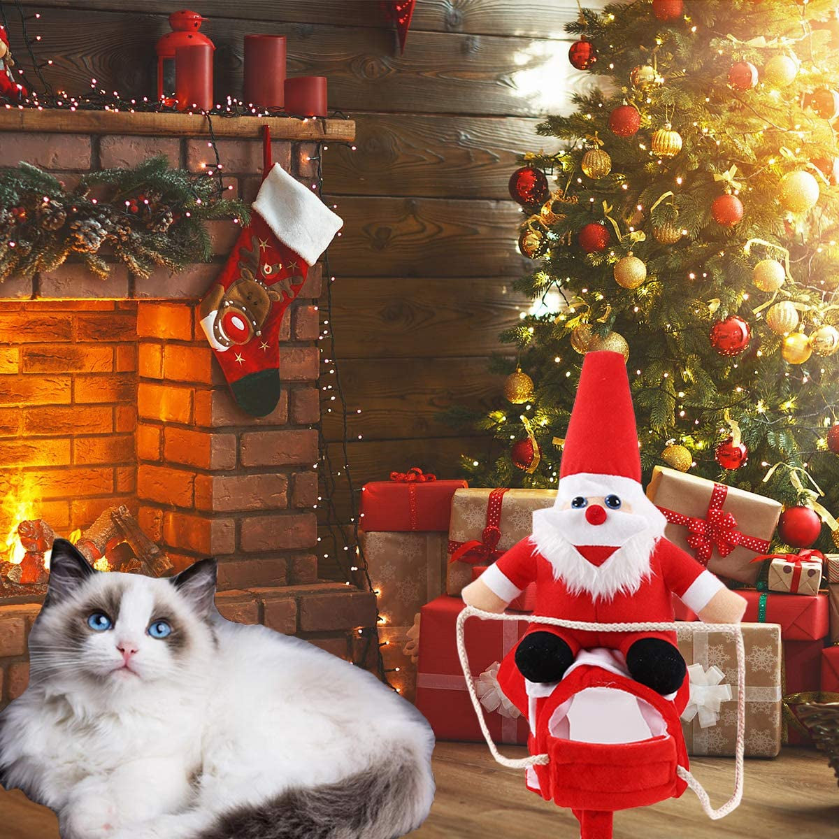 Festive Christmas Dog Santa Costume - Fun & Comfy Pet Outfit for All Breeds, Adjustable & Easy to Clean